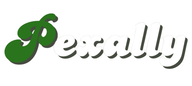 Pexally LLC Invoice Header